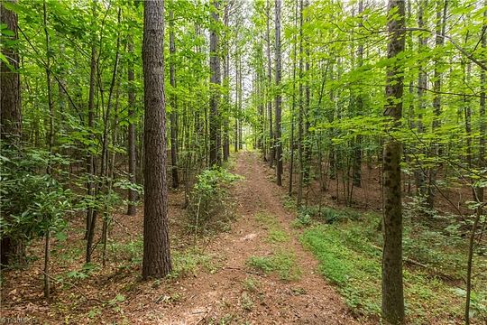 69.4 Acres of Land for Sale in Pinnacle, North Carolina
