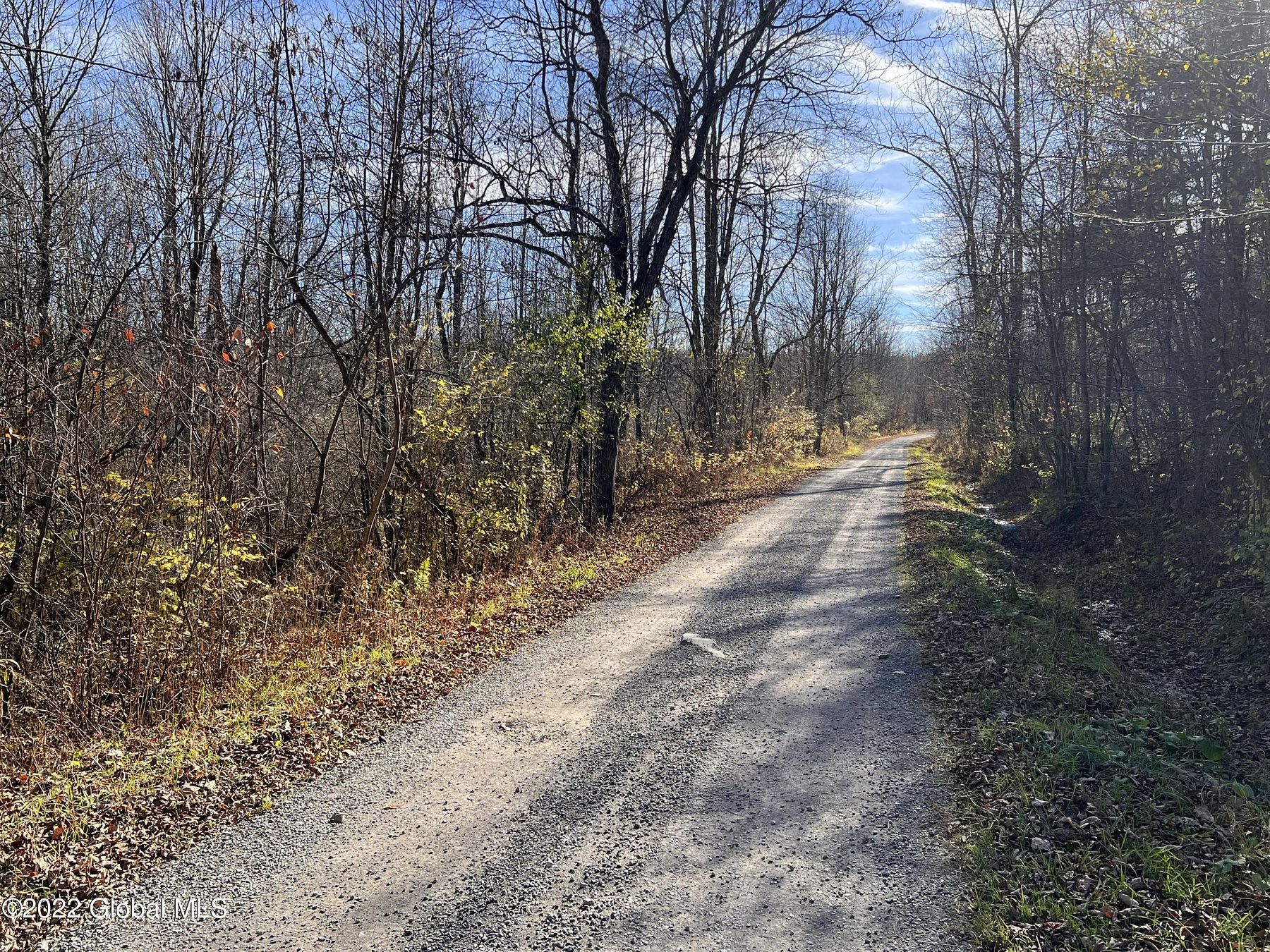18.2 Acres of Recreational Land for Sale in Berne, New York