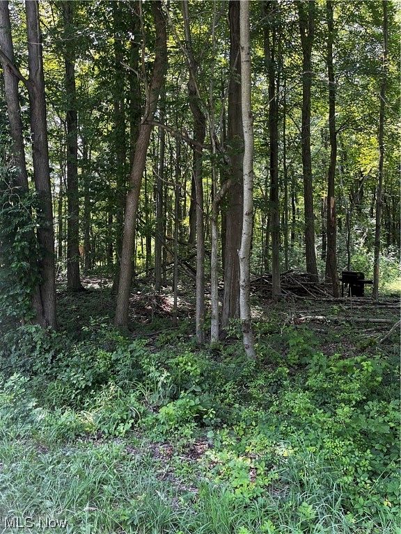 8.6 Acres of Residential Land for Sale in Painesville, Ohio