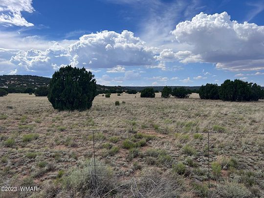 31.7 Acres of Agricultural Land for Sale in Concho, Arizona