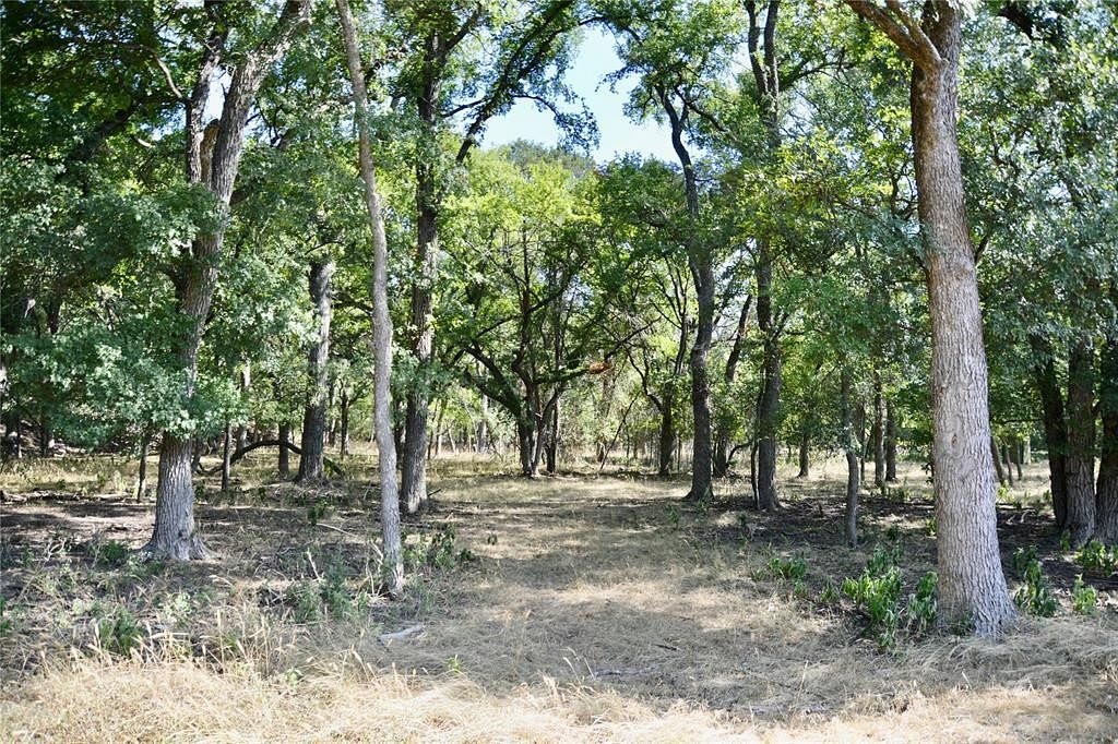 55.6 Acres of Recreational Land & Farm for Sale in Kempner, Texas