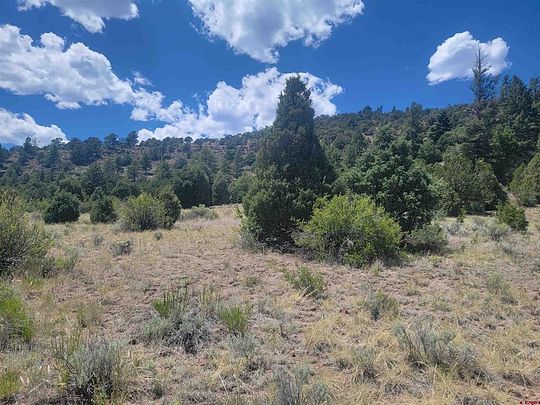 6.9 Acres of Land for Sale in South Fork, Colorado