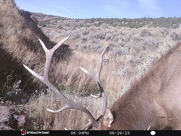 377 Acres of Recreational Land for Sale in Maybell, Colorado