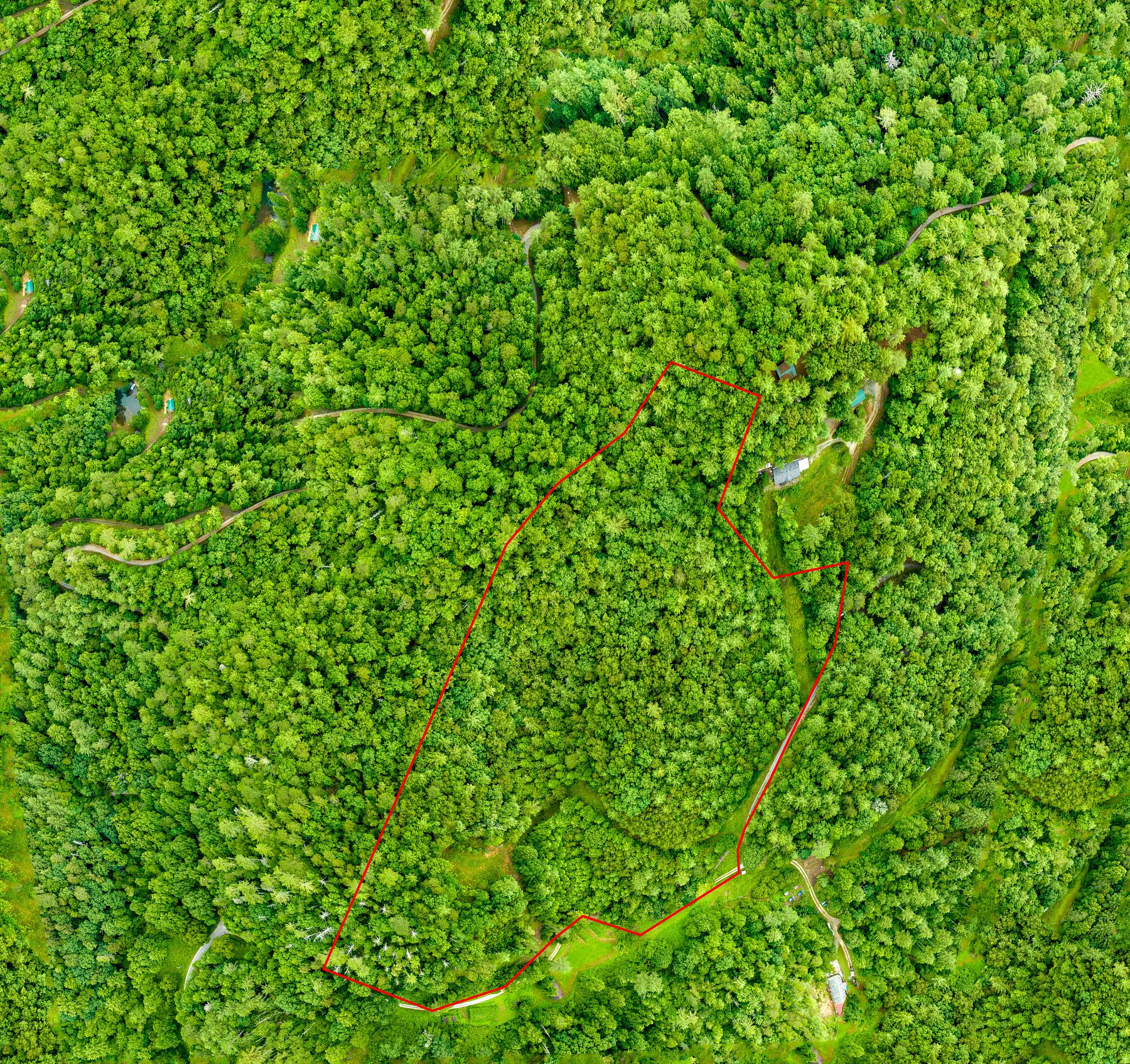 12.4 Acres of Recreational Land for Sale in Stecoah, North Carolina