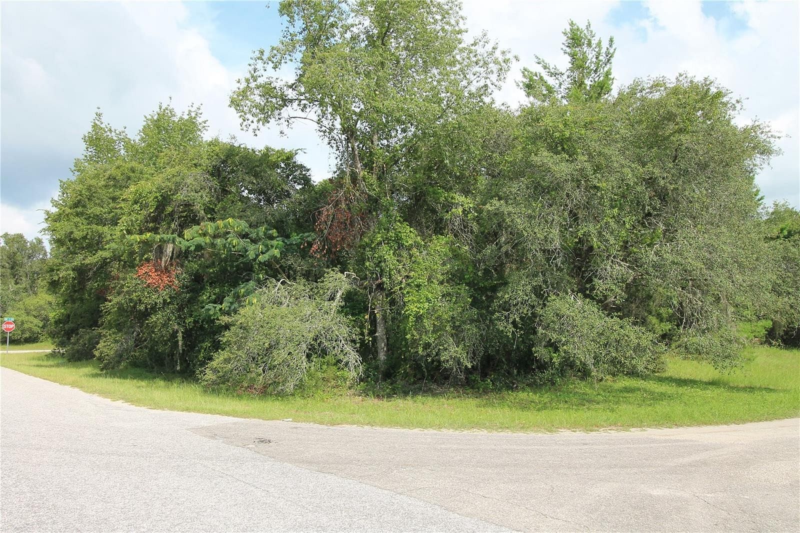 0.37 Acres of Commercial Land for Sale in Ocala, Florida