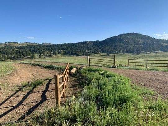 49.6 Acres of Agricultural Land for Sale in Westcliffe, Colorado