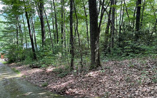8.1 Acres of Residential Land for Sale in Blairsville, Georgia