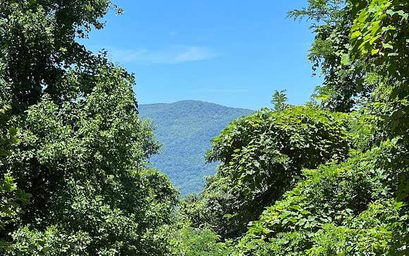 101.472 Acres of Recreational Land for Sale in Hayesville, North Carolina