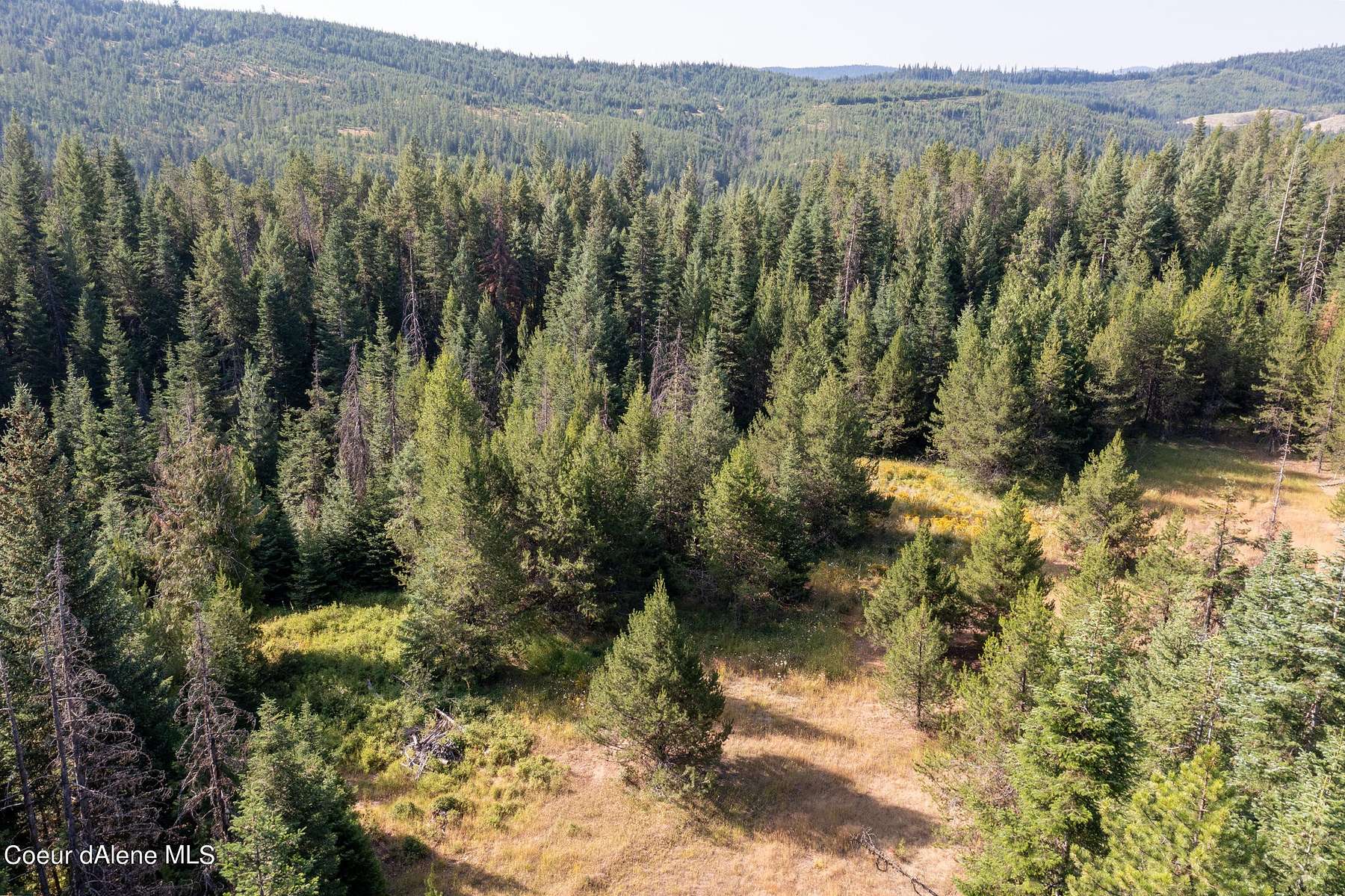 5 Acres of Land for Sale in St. Maries, Idaho