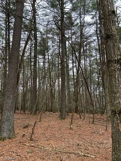 6.4 Acres of Residential Land for Sale in Thurmond, North Carolina