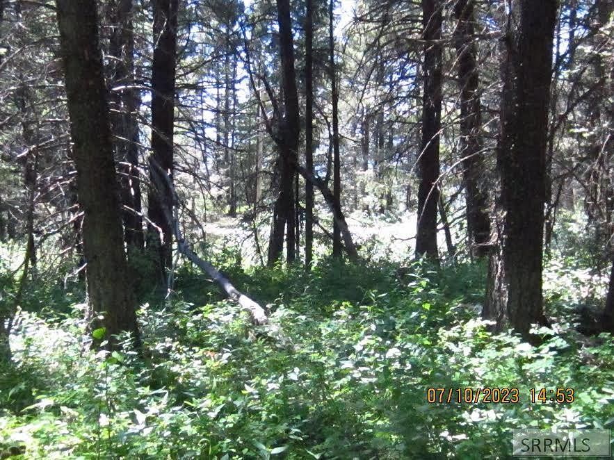 0.71 Acres of Residential Land for Sale in Island Park, Idaho