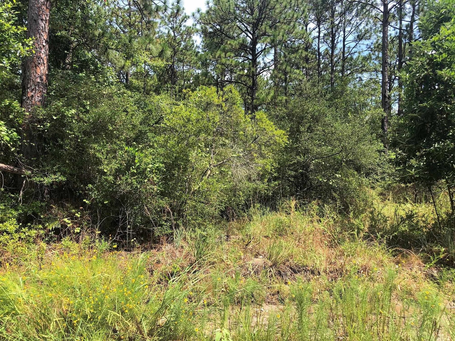 0.26 Acres of Residential Land for Sale in Brookeland, Texas