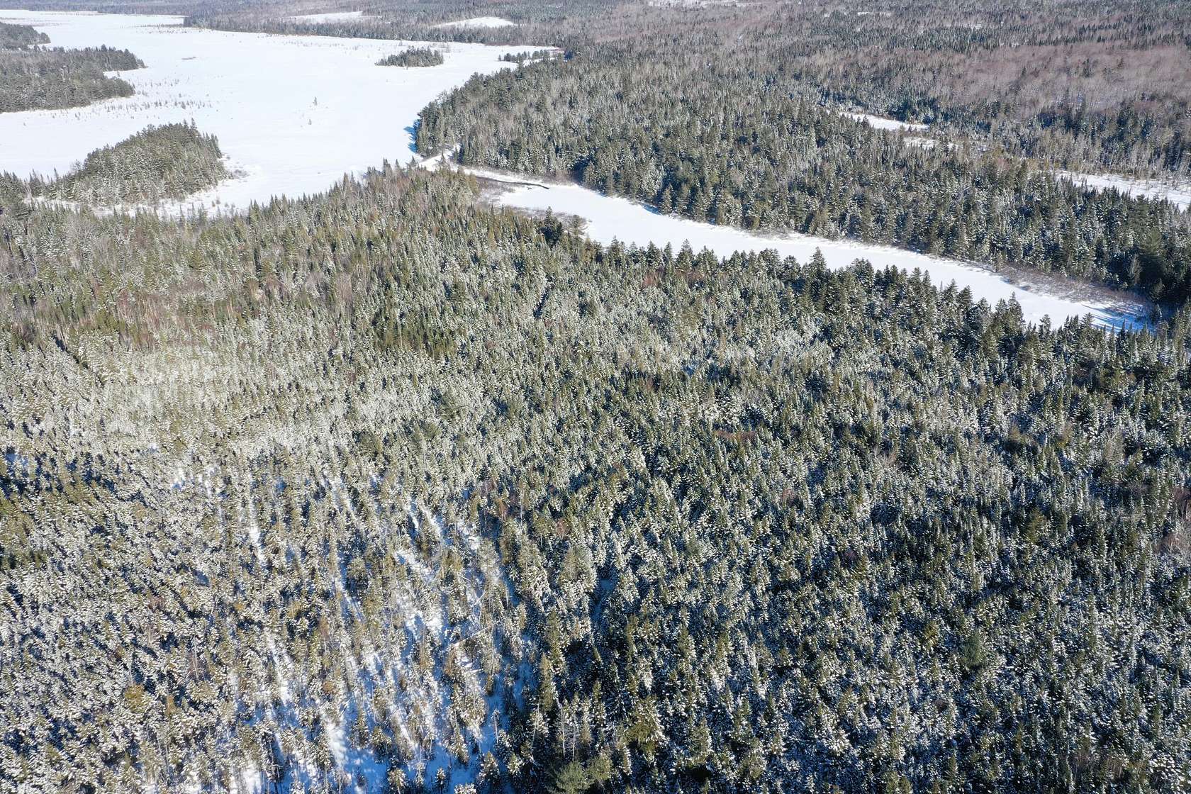 113 Acres of Recreational Land for Sale in Shirley Town, Maine