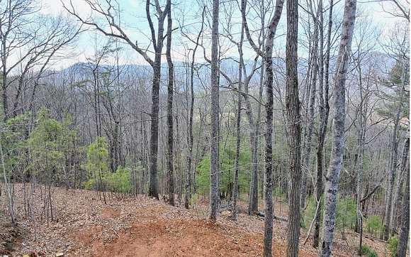 3.4 Acres of Land for Sale in Hiawassee, Georgia