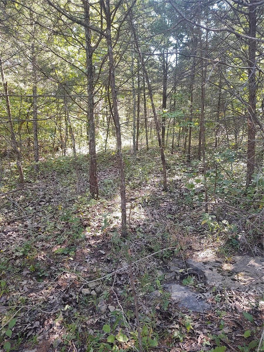 0.31 Acres of Residential Land for Sale in Bonne Terre, Missouri
