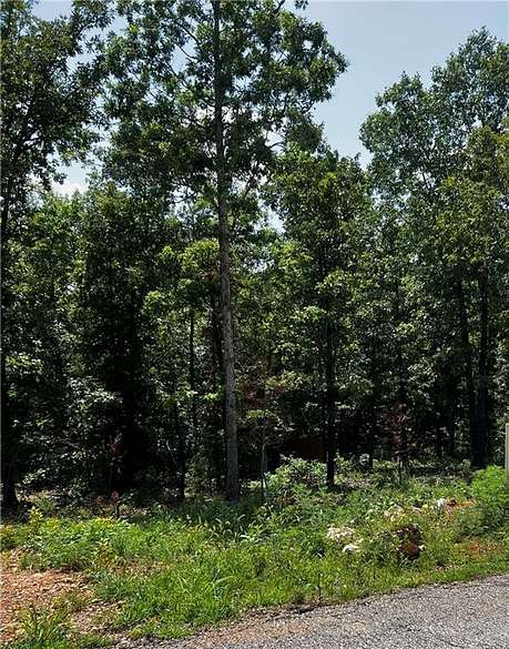 0.44 Acres of Land for Sale in Bella Vista, Arkansas