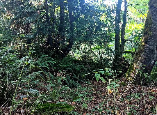 4.5 Acres of Land for Sale in Port Angeles, Washington
