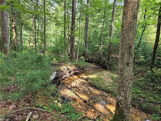 4 Acres of Residential Land for Sale in Lowgap, North Carolina