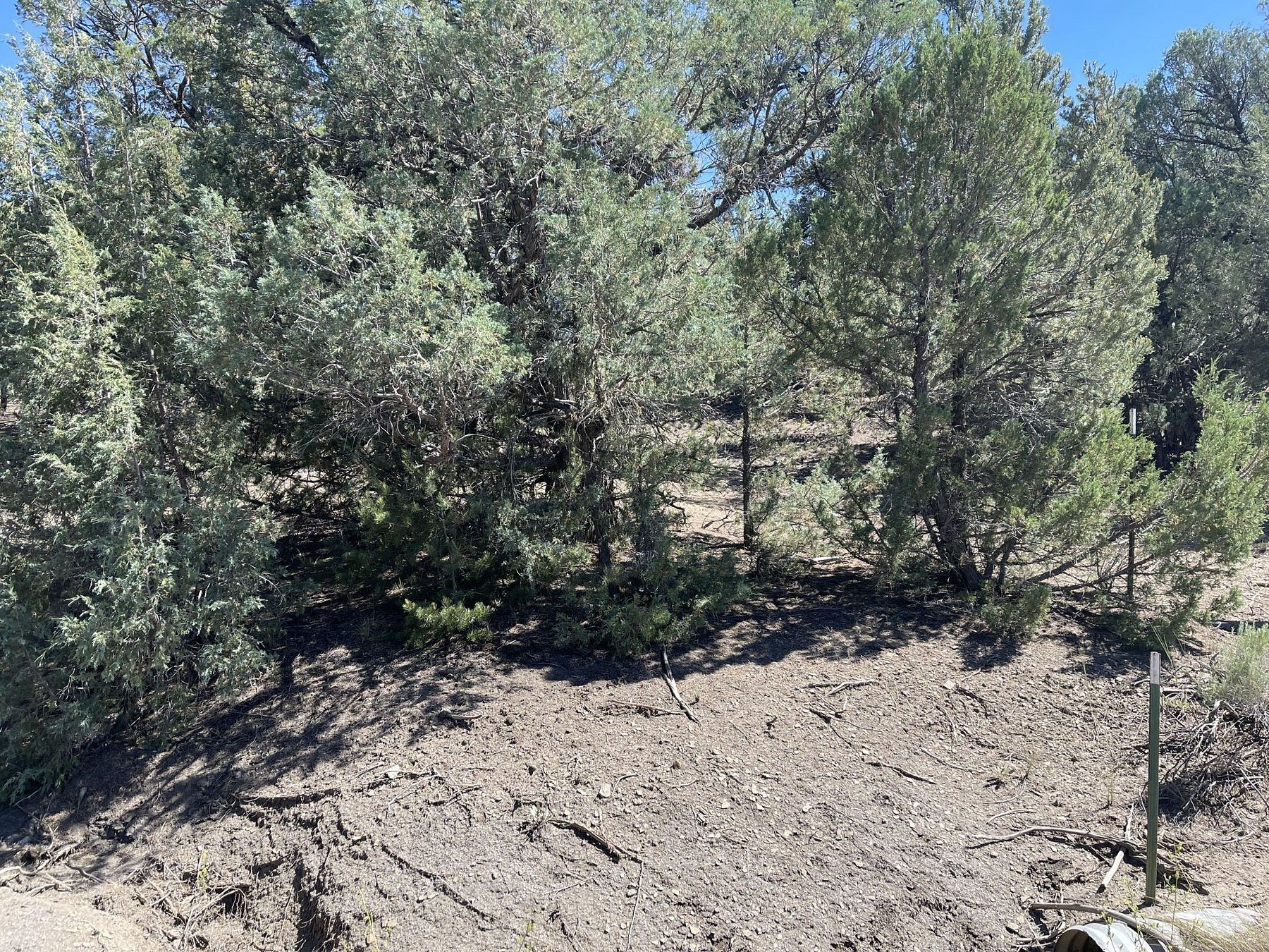 0.86 Acres of Residential Land for Sale in Los Ojos, New Mexico