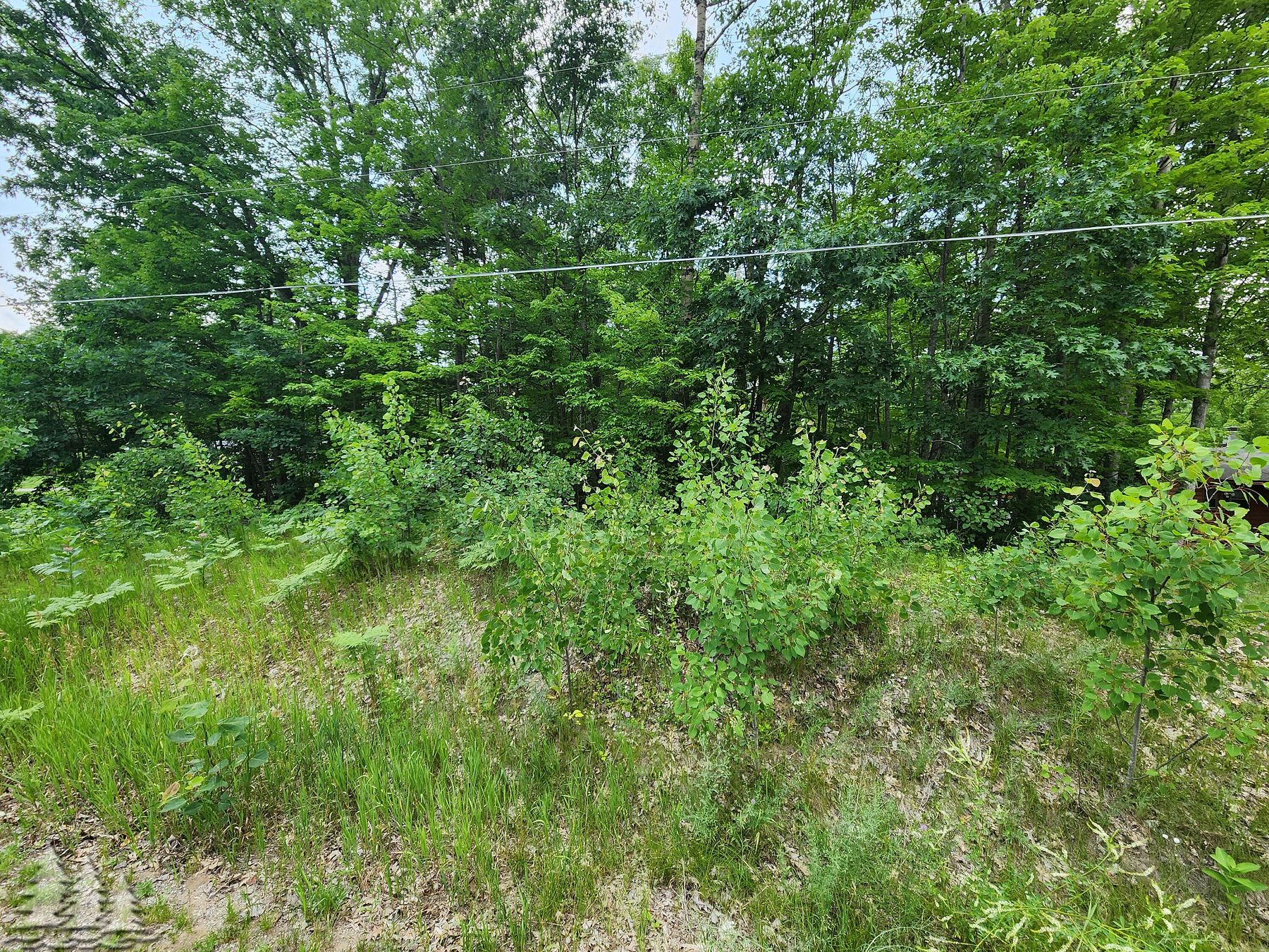 Land for Sale in Lewiston, Michigan