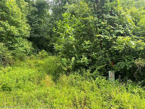 50 Acres of Recreational Land for Sale in Portland, Ohio