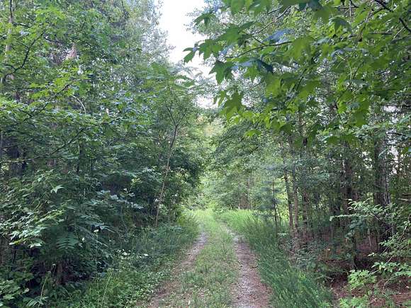 20 Acres of Recreational Land for Sale in Semora, North Carolina
