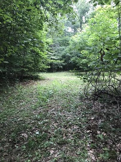 Land for Sale in Reynolds Station, Kentucky