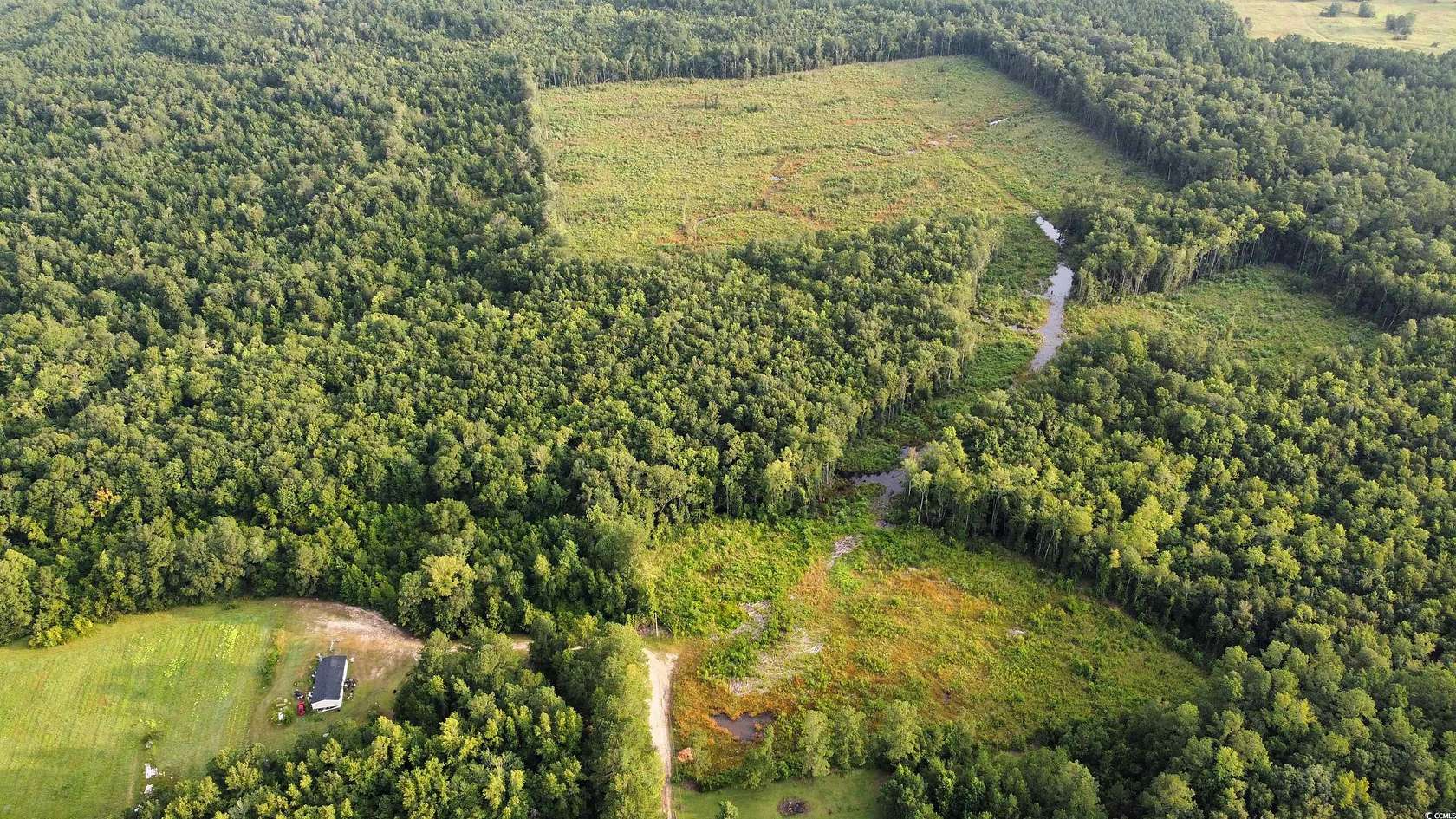 50.4 Acres of Recreational & Residential Land for Sale in Conway, South Carolina