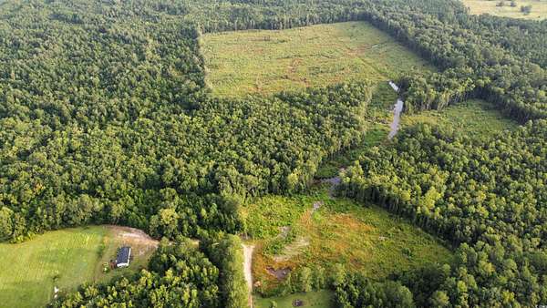 50.4 Acres of Recreational & Residential Land for Sale in Conway, South Carolina