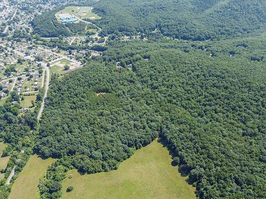 298 Acres of Land for Sale in Buena Vista, Virginia
