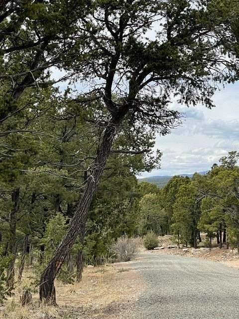 1 Acre of Residential Land for Sale in Pecos, New Mexico