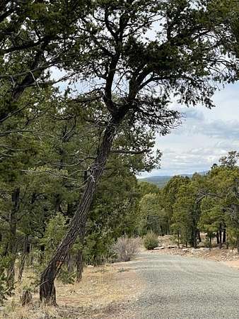 1 Acre of Residential Land for Sale in Pecos, New Mexico