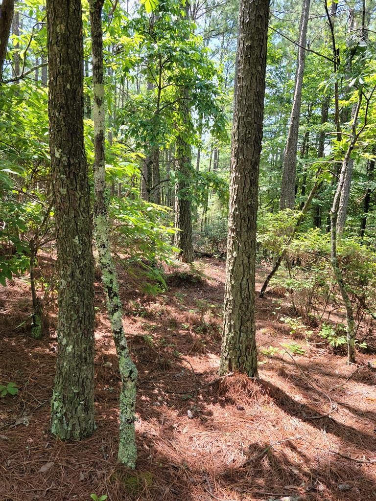 6.3 Acres of Residential Land for Sale in Copperhill, Tennessee