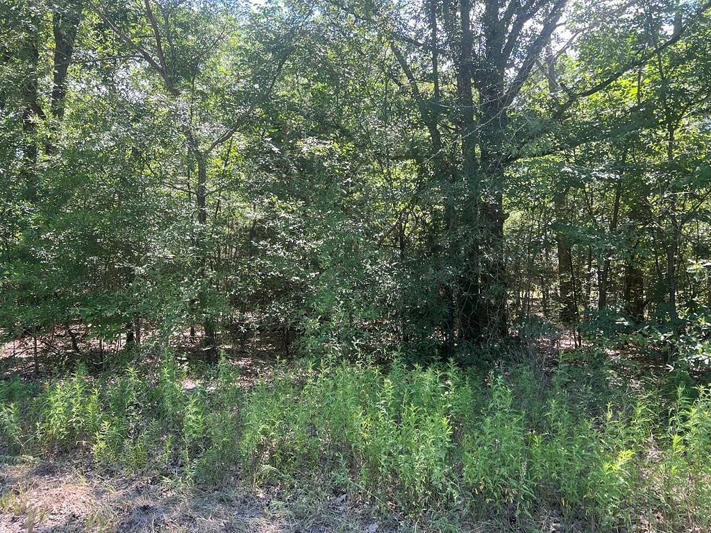 0.17 Acres of Residential Land for Sale in Trinidad, Texas