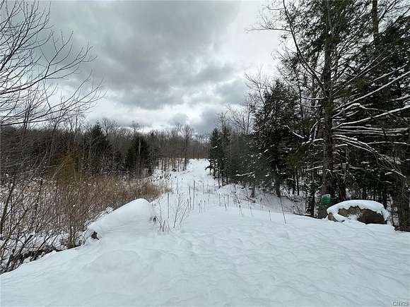 45.1 Acres of Recreational Land for Sale in Salisbury, New York