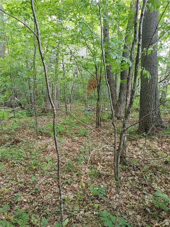 1.6 Acres of Residential Land for Sale in Hayward, Wisconsin