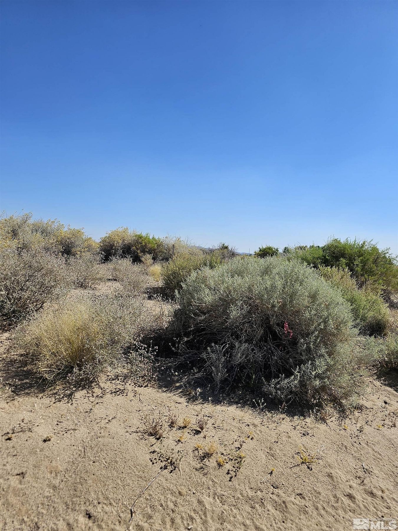 10 Acres of Land for Sale in Fallon, Nevada