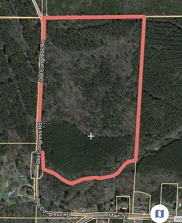 64 Acres of Land for Sale in Mantee, Mississippi