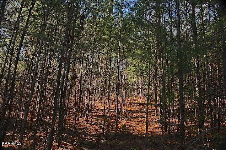 2 Acres of Residential Land for Sale in Tellico Plains, Tennessee