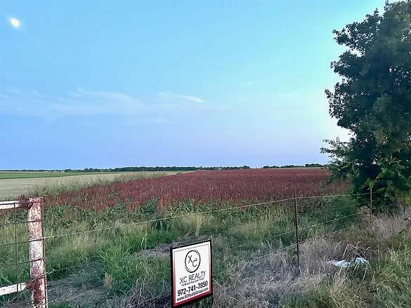 58.5 Acres of Agricultural Land for Sale in Gainesville, Texas