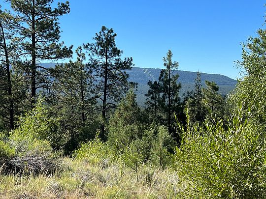 8 Acres of Land for Sale in Chama, New Mexico