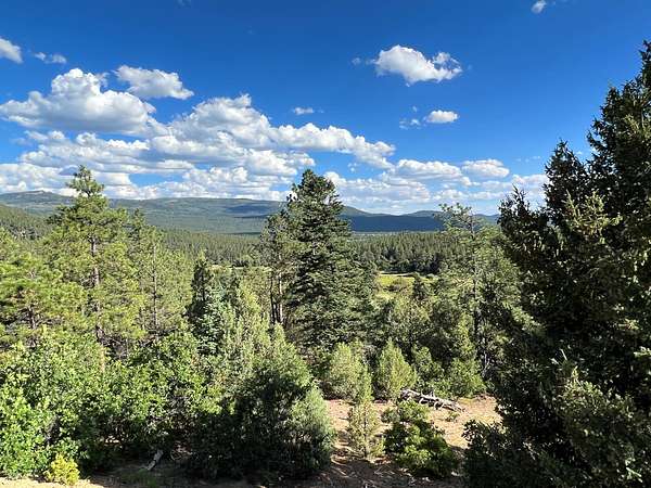 16 Acres of Land for Sale in Chama, New Mexico