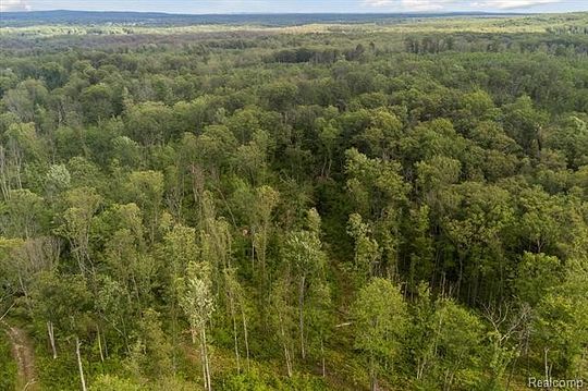 39.5 Acres of Recreational Land for Sale in Comins, Michigan