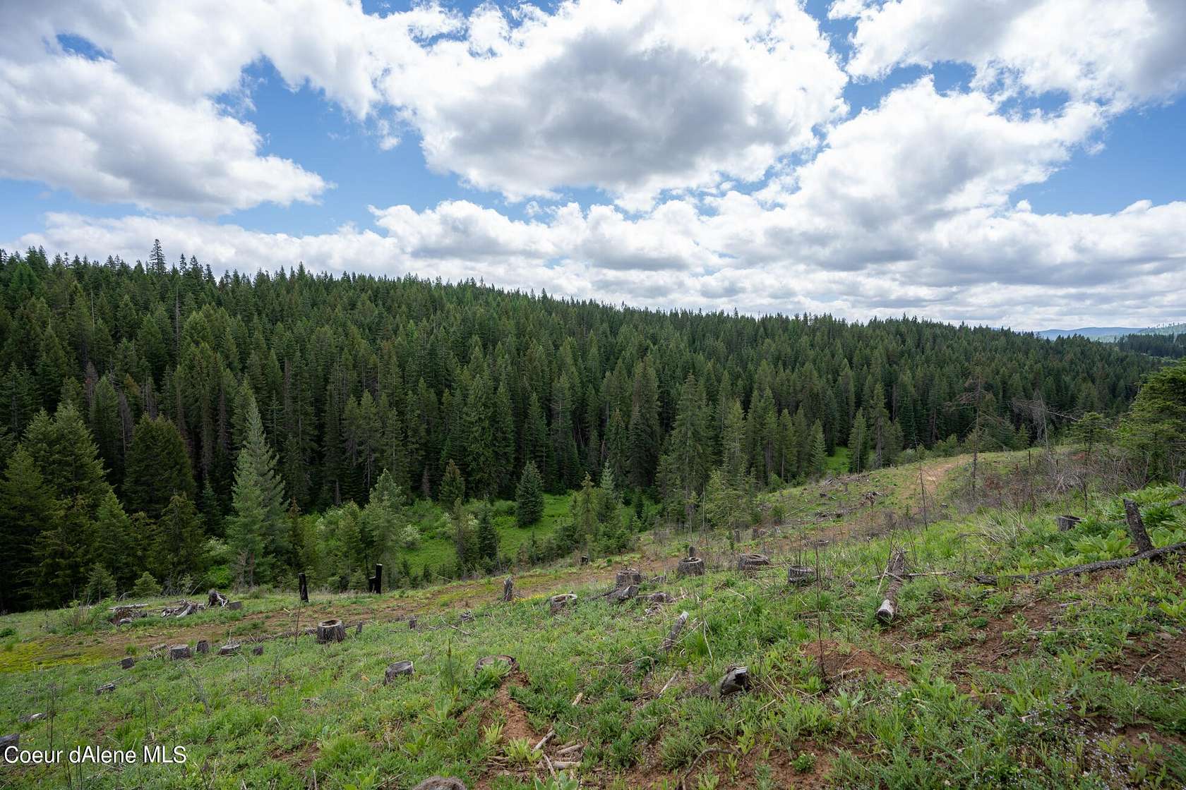 24.7 Acres of Recreational Land for Sale in St. Maries, Idaho