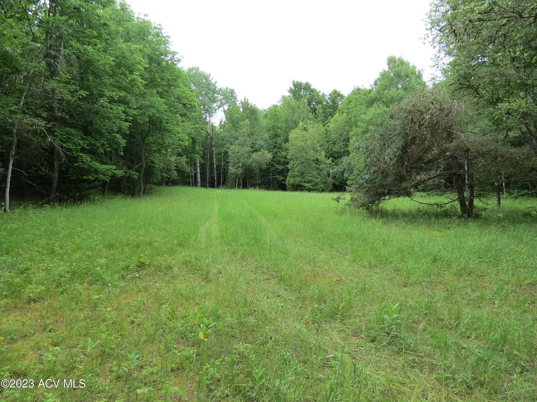 68.8 Acres of Land for Sale in Peru, New York