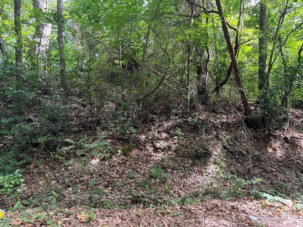 0.14 Acres of Residential Land for Sale in Palestine, Texas