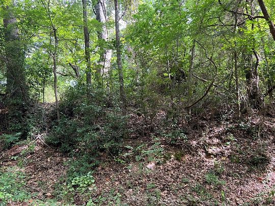 0.3 Acres of Residential Land for Sale in Palestine, Texas