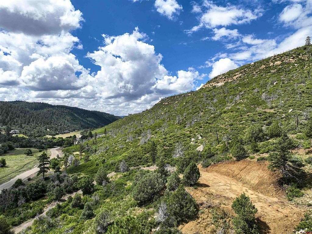 36.4 Acres of Land for Sale in Mancos, Colorado