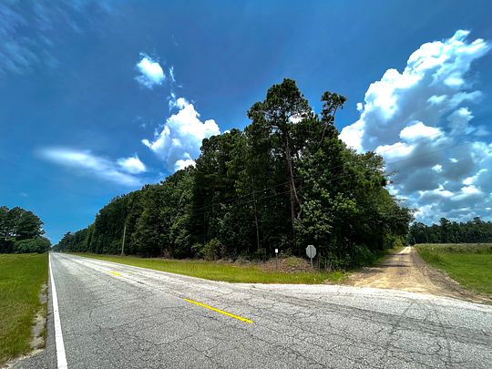 20 Acres of Recreational Land for Sale in Islandton, South Carolina