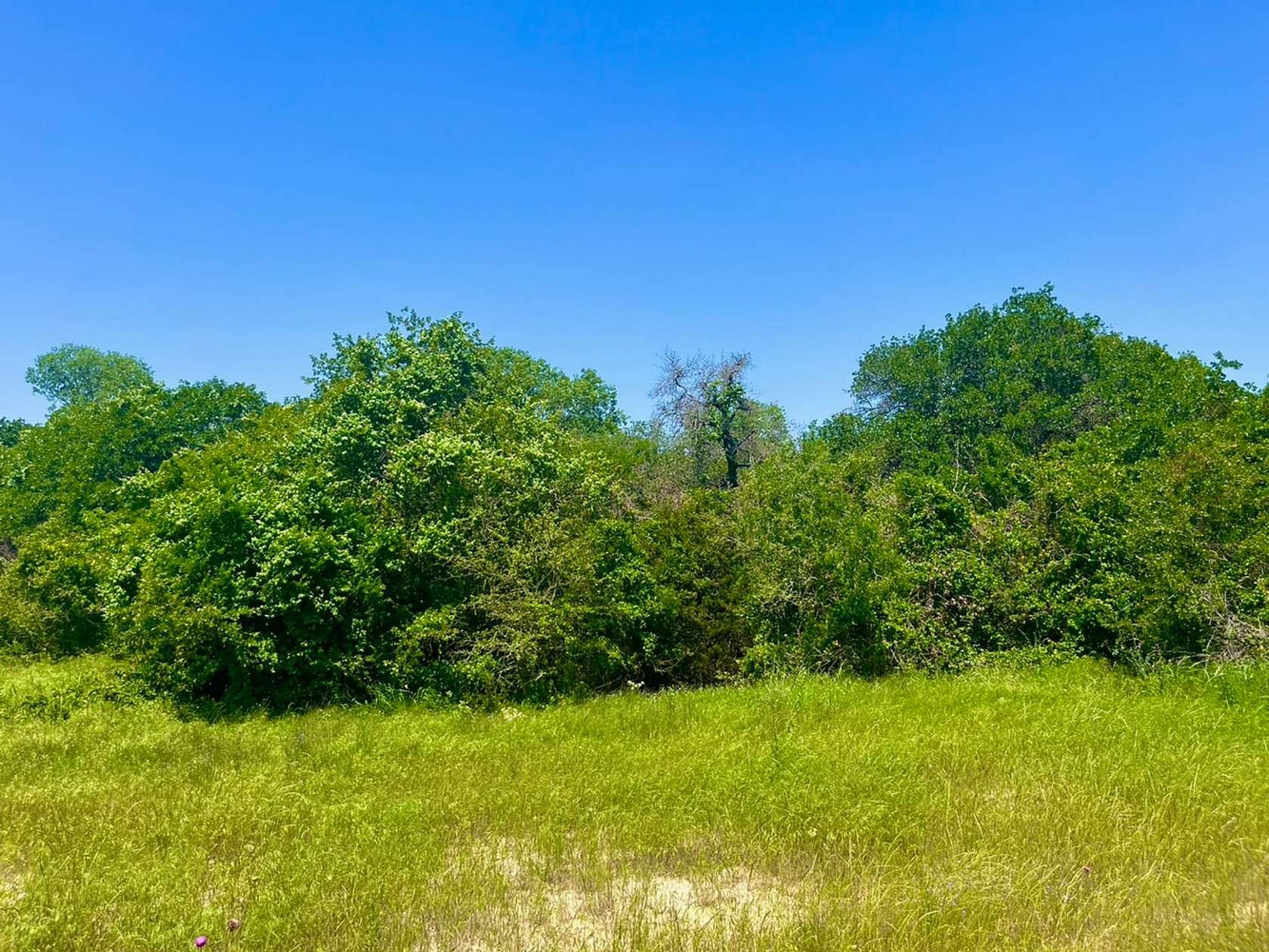 2.62 Acres of Residential Land for Sale in Poolville, Texas